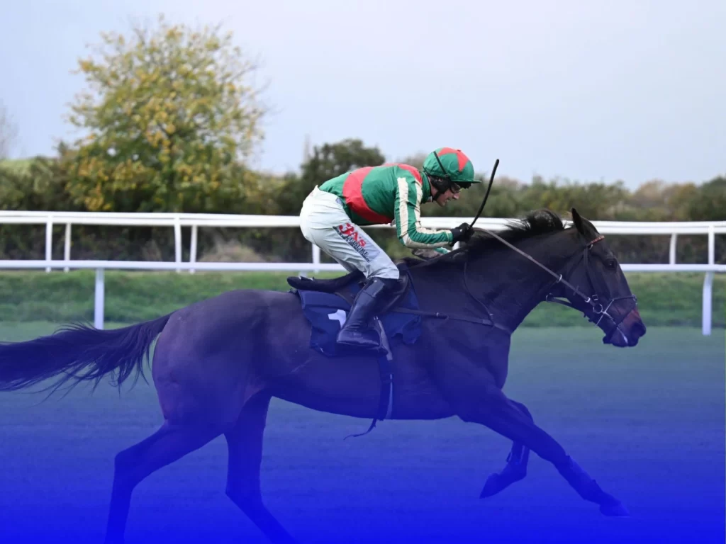 hipismo esporte
